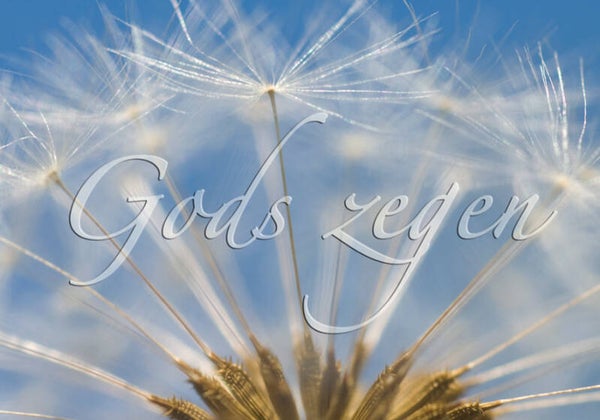 Wenskaart DK019  -  Gods zegen