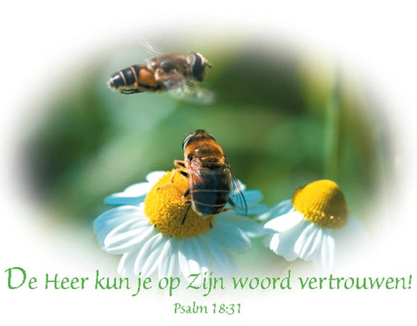 Kadokaartje KK14  -  Psalm 18:31