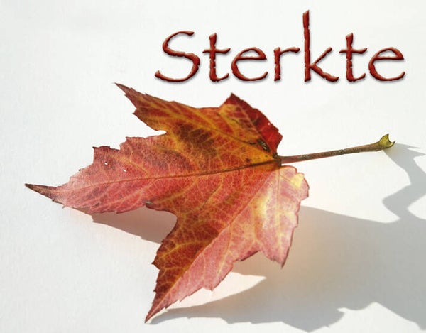 Kadokaartje KK44  -  Sterkte