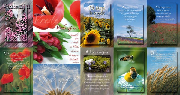 Wenskaart 10x15 cm - Assortiment van 11 met Bijbeltekst - set 1