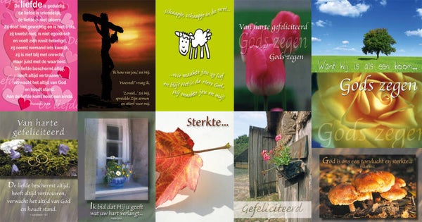Wenskaart 10x15 cm - Assortiment van 11 met Bijbeltekst - set 2