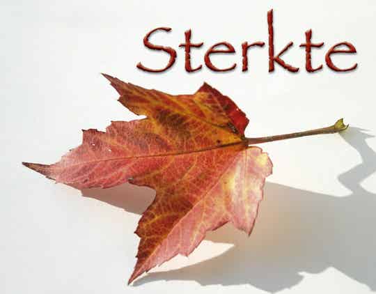 Kadokaartje KK44  -  Sterkte