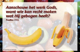 Bemoedigingskaartje CR50   -  Prediker 7:13