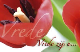 Bemoedigingskaartje CR17  -  Vrede zij u...