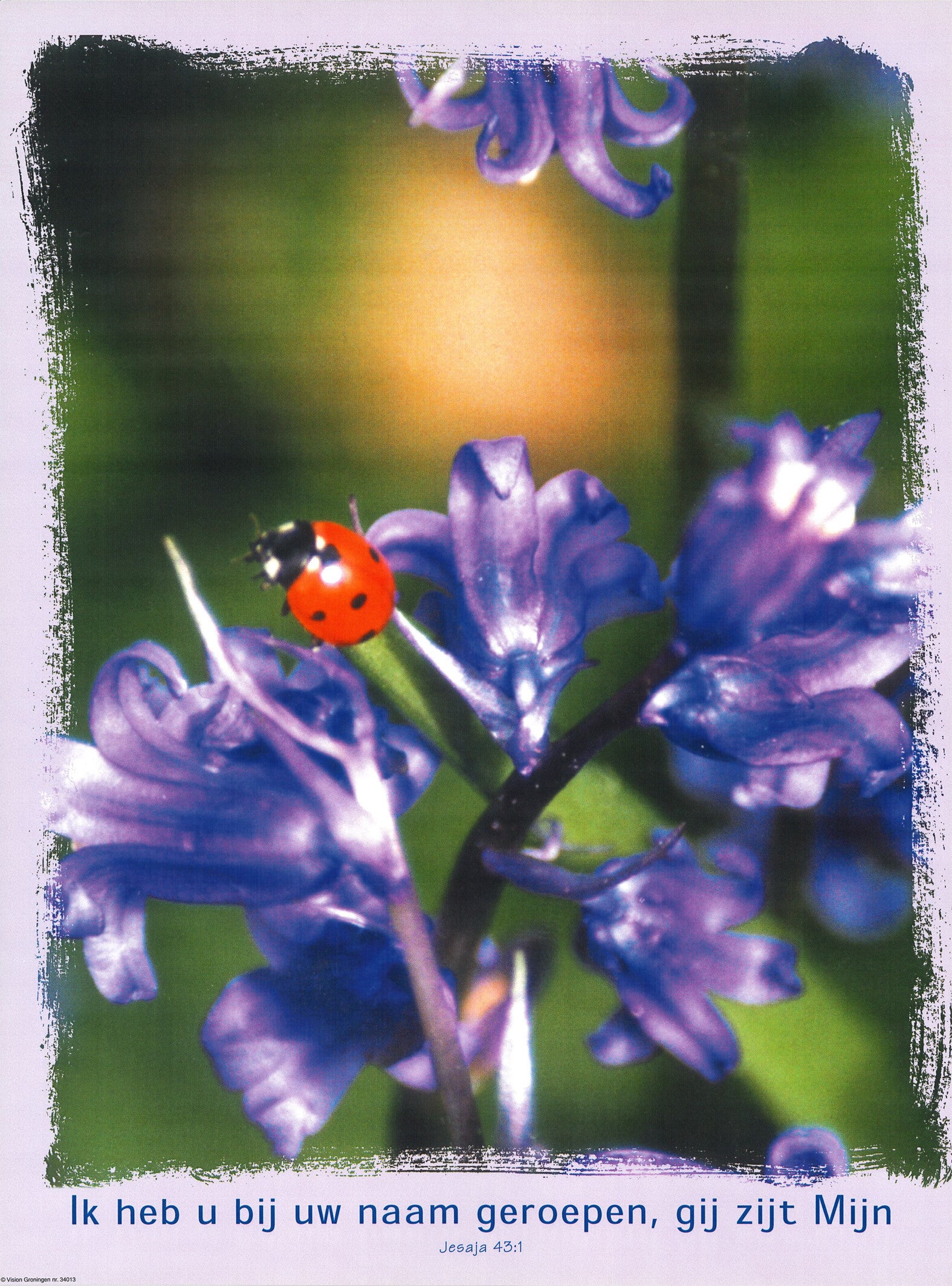 Poster 34013  -  Jesaja 43:1