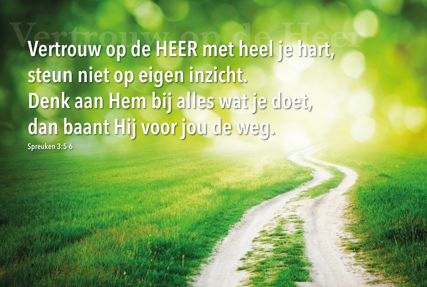 Poster 7423529164108  -  Spreuken 3:5-6 - 50 x 70 cm