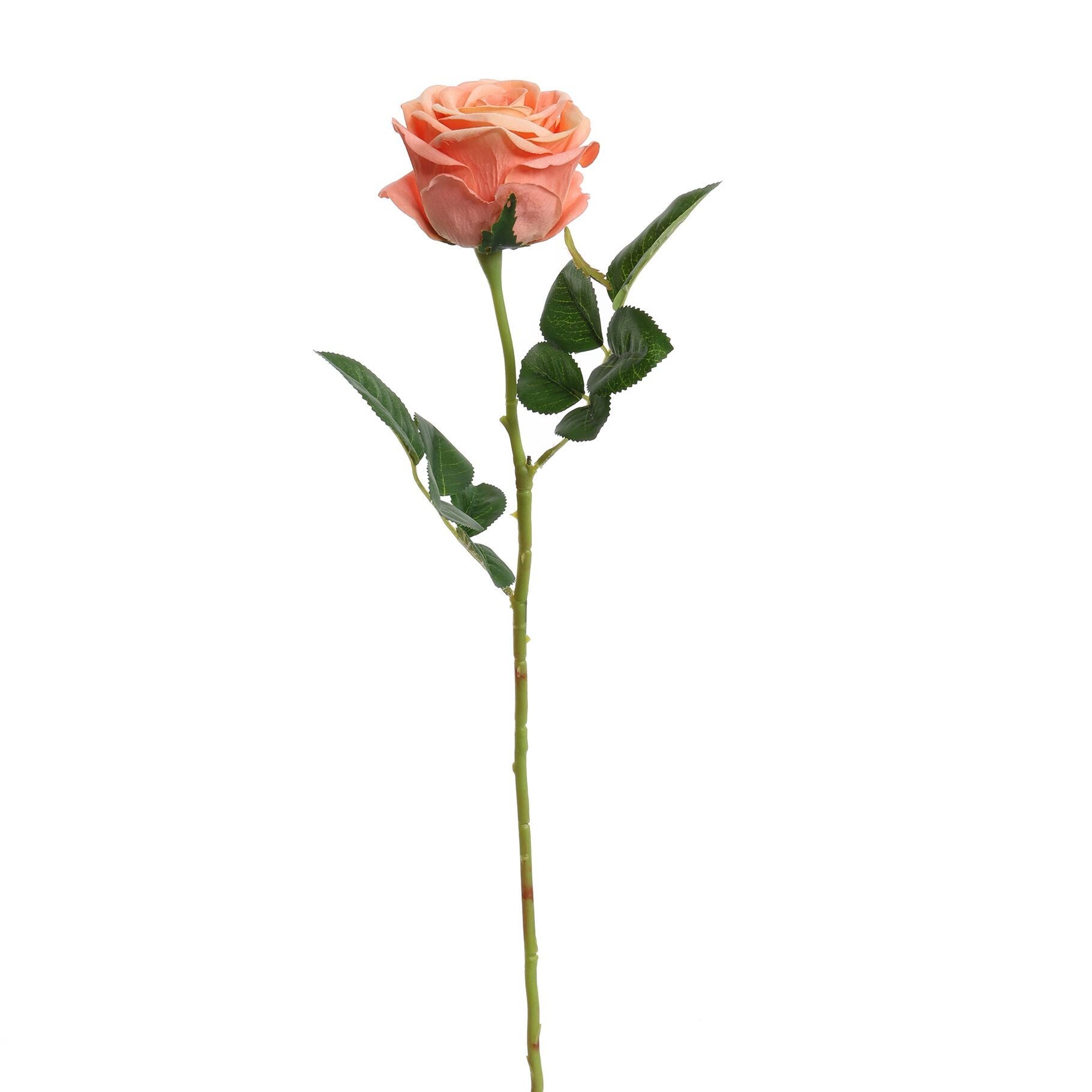Velvet Rose 50CM Perzik Peach