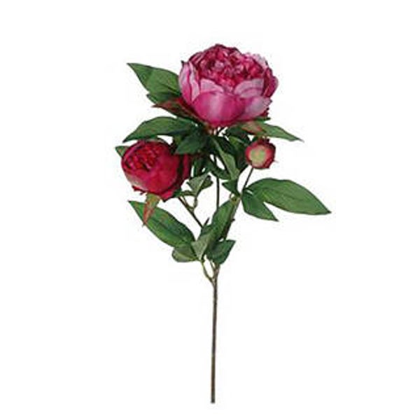 Zijdebloem Pioen 70cm donker roze fuchsia