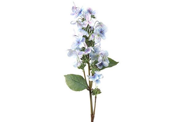 Zijdebloem Hydrangea Janea blauw