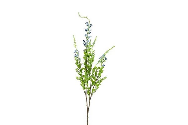 Zijdebloem Lippia polystachya blauw
