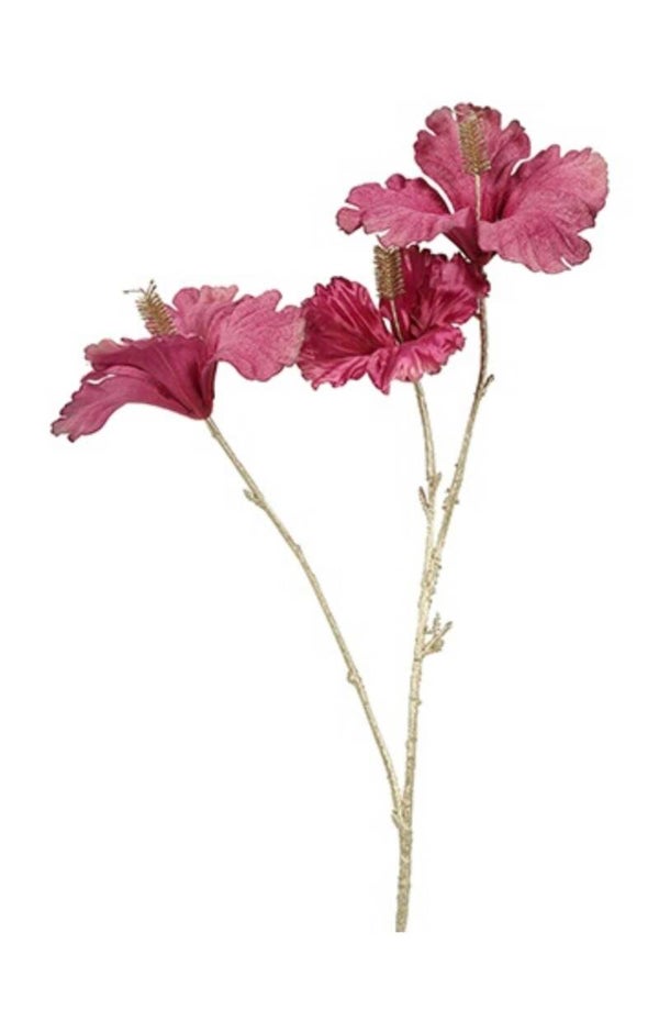 Hibiscus S fuchsia goud