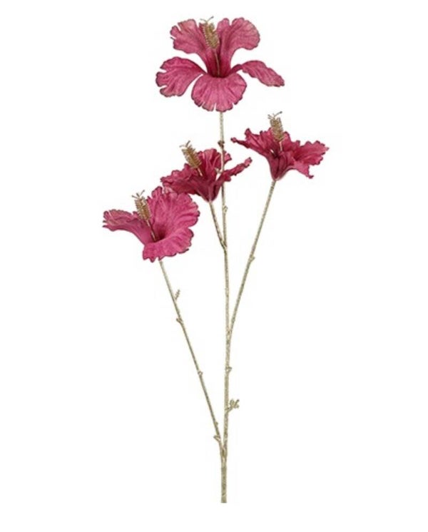 Hibiscus M fuchsia goud