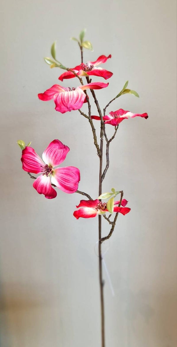 Zijdebloem Cornus roze