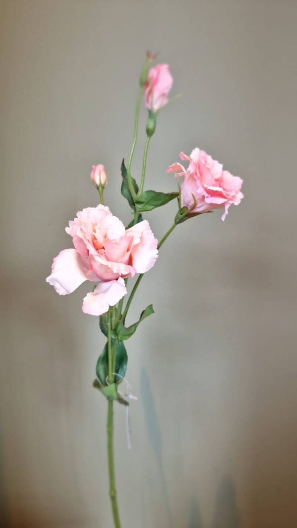 Zijdebloem Lisianthus roze