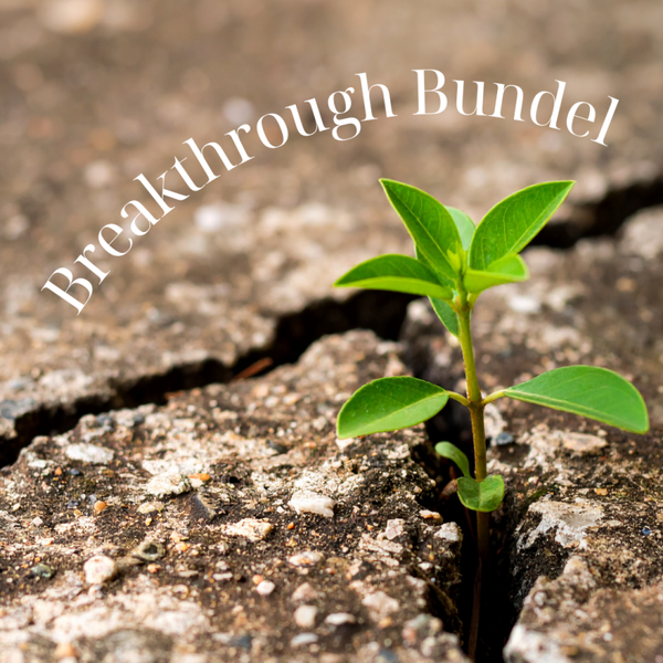 Breakthrough Bundel