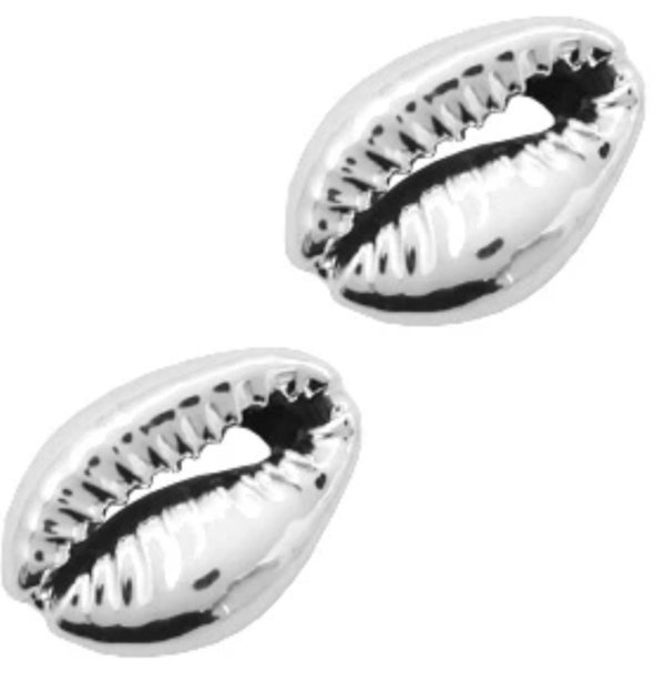 Zilvere kauri schelpen