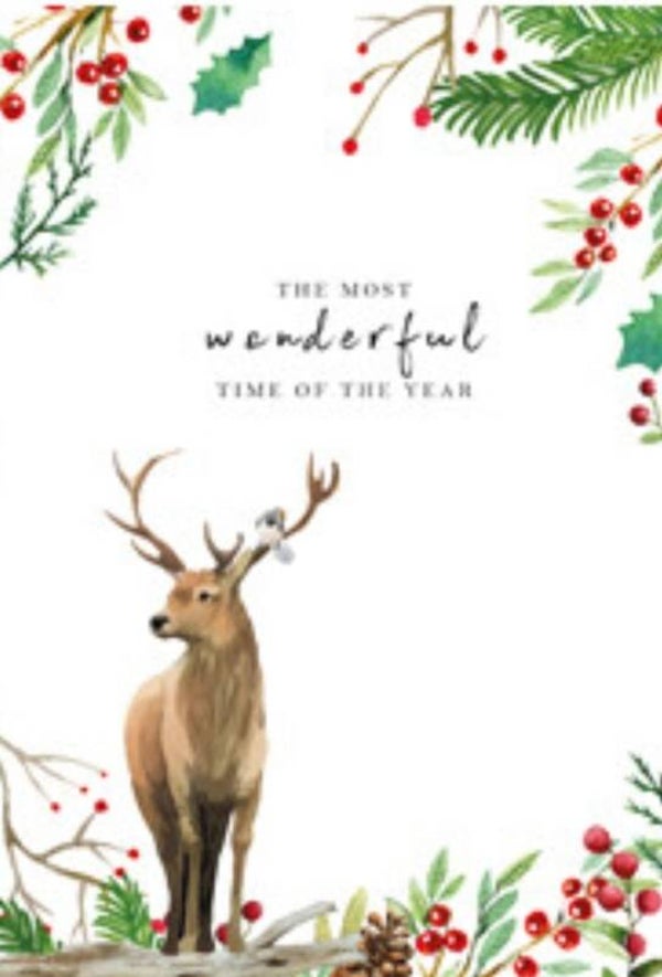 a most the wunderful time of the years