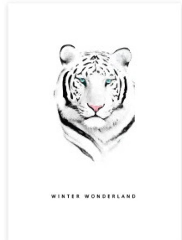 winter wonderland