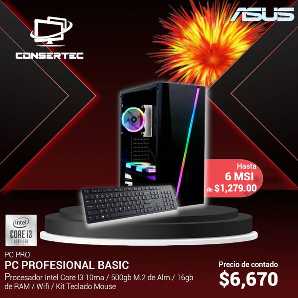 PC PROFESIONAL BASIC