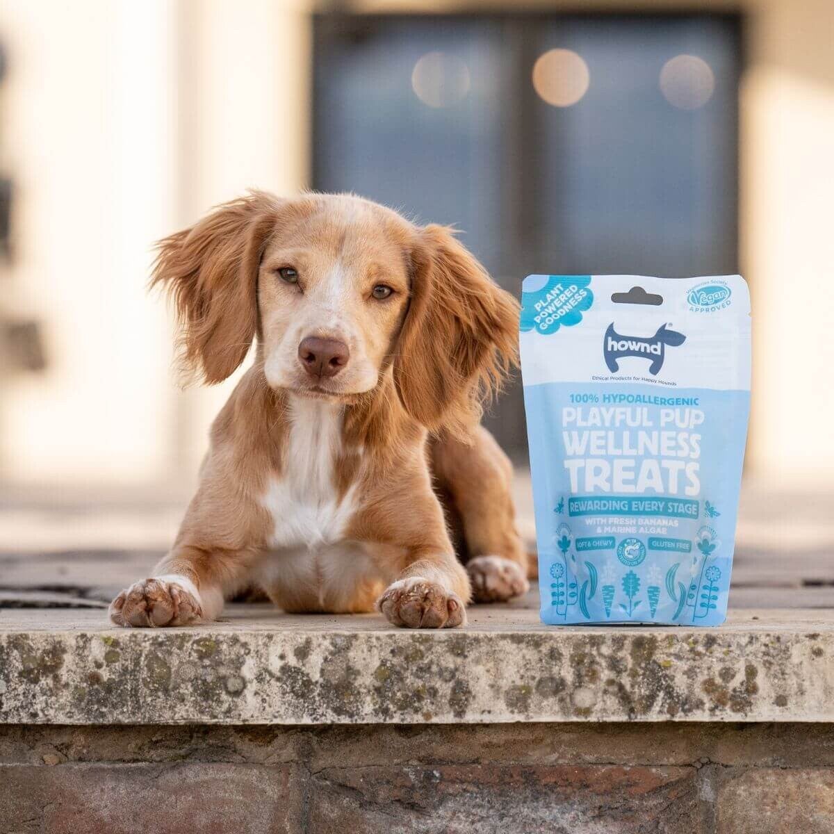 Puppy Wellness Treats