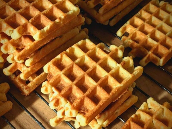 Wafel