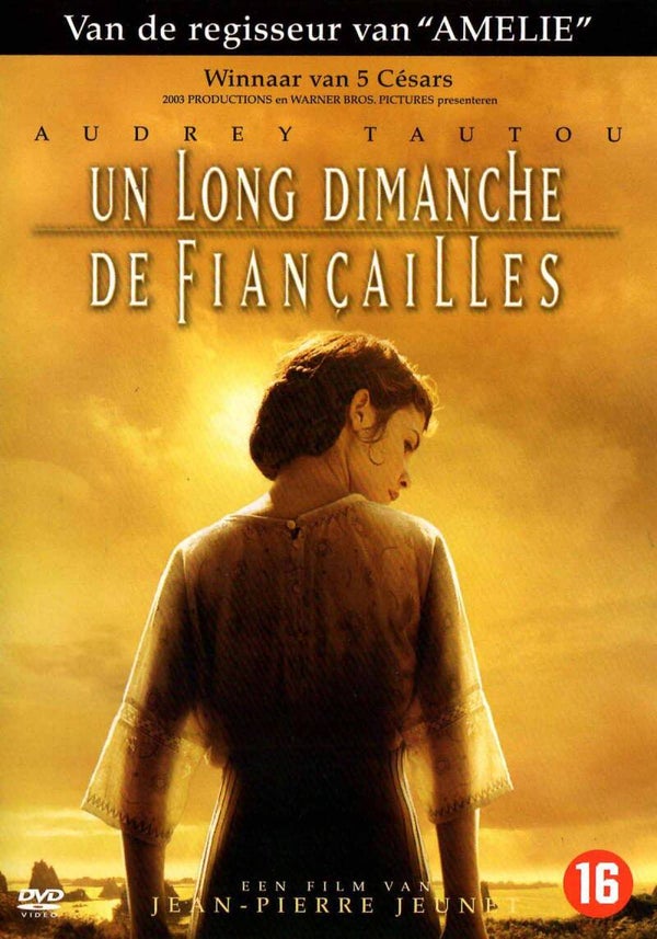 Long dimanche de fiancailles DVD