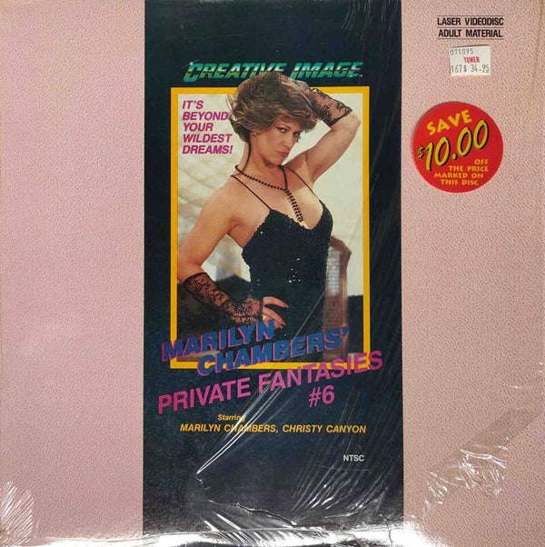 Private Fantasies #6 laserdisc