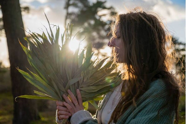 Healing concert, Cacao en V-steam 20 december Zutphen