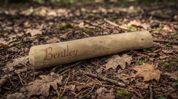 Kauwstaaf van koffieboom wortel