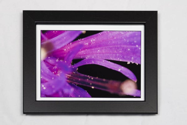 Flower2