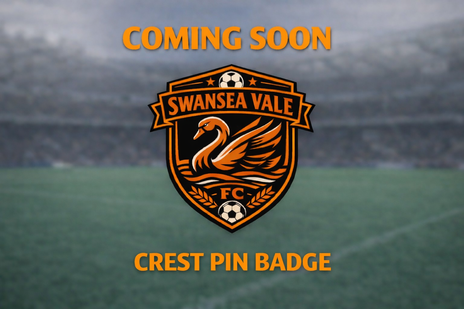 Crest Pin Badge
