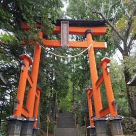 1000019095-standard.jpg