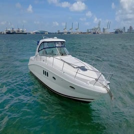1000020007-standard-2b7jj6.jpg
