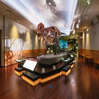 1000020567-standard.jpg