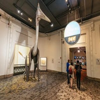 1000020573-standard.jpg