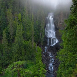 1000020918-standard.jpg