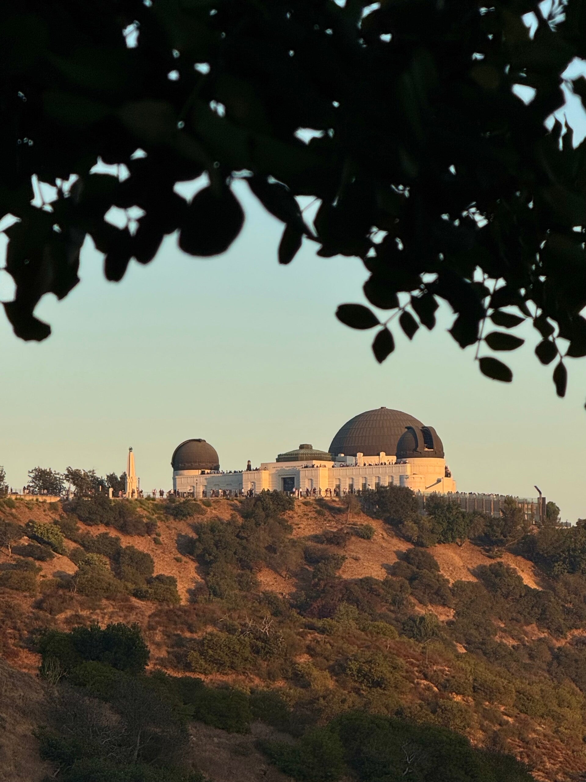 GriffithObservatoryAltroveblog