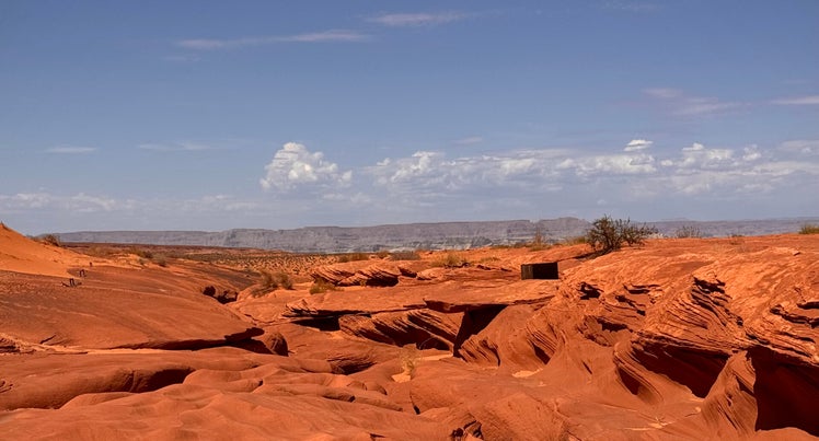 lowerantelope
