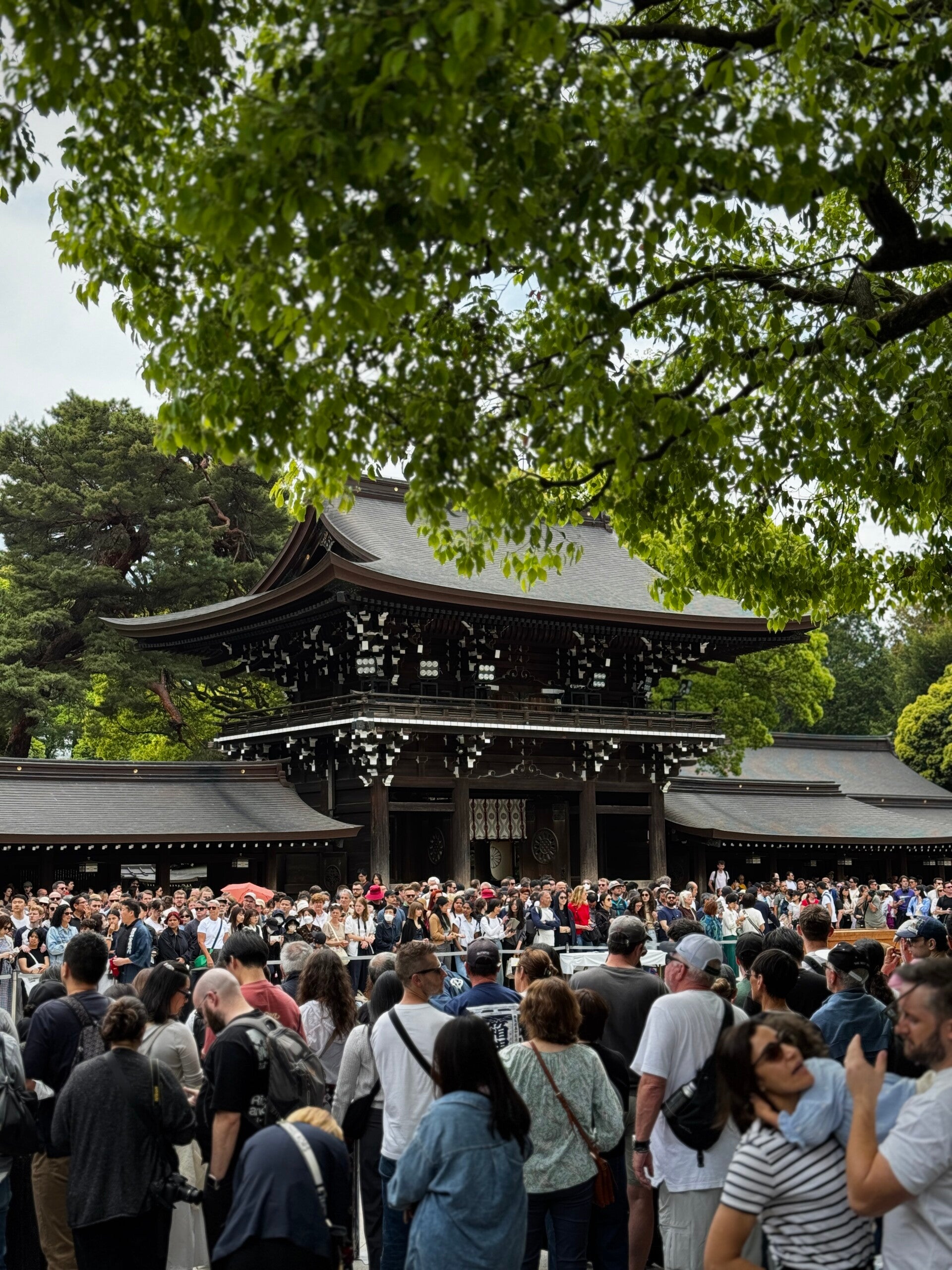 Meiji Jingu