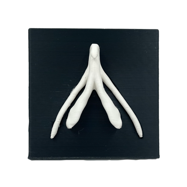 Clitoris tile (black/white)