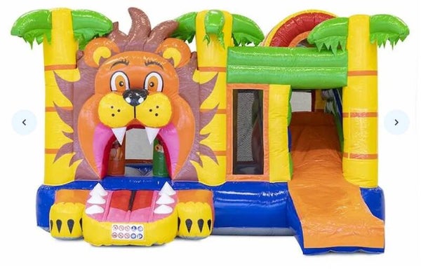 Multiplay Leeuw 7 dagen