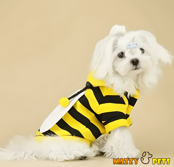 ABRIGO DIVERTIDO DE ABEJA PARA MASCOTAS