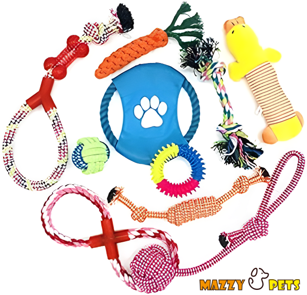 Juego de 10 Piezas de Juguetes para Perros
