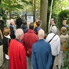 p1090303-standard.jpg
