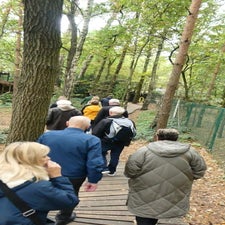 p1090340-standard.jpg