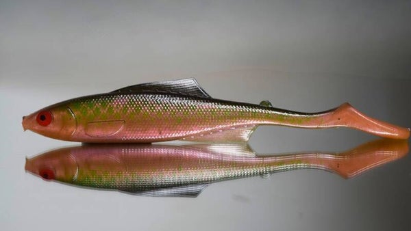 Hauki shad