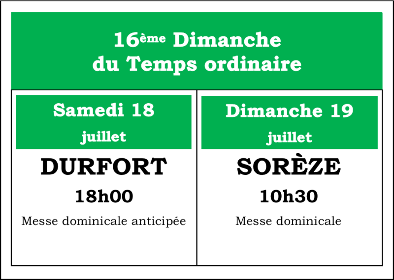 image3-standard-jakvcd.png