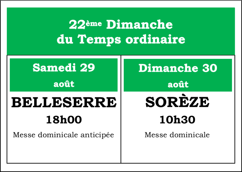 image6-standard-nnvq19.png