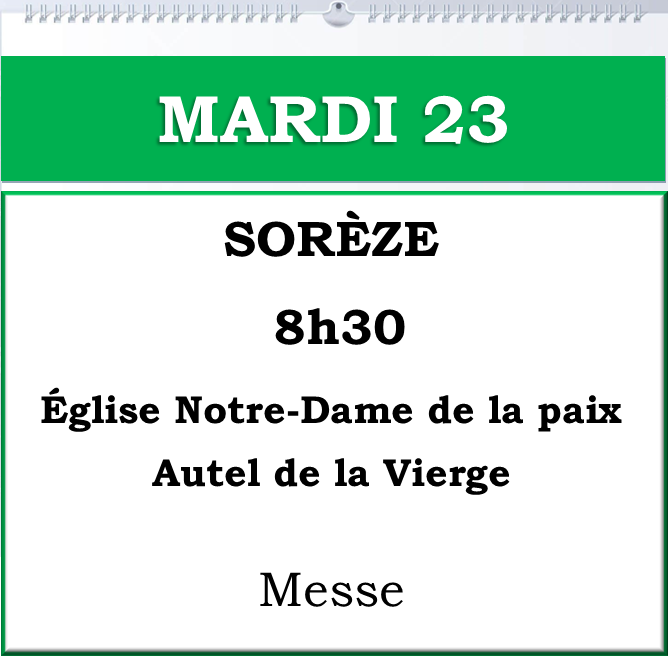 image9-standard-ovnkw7.png
