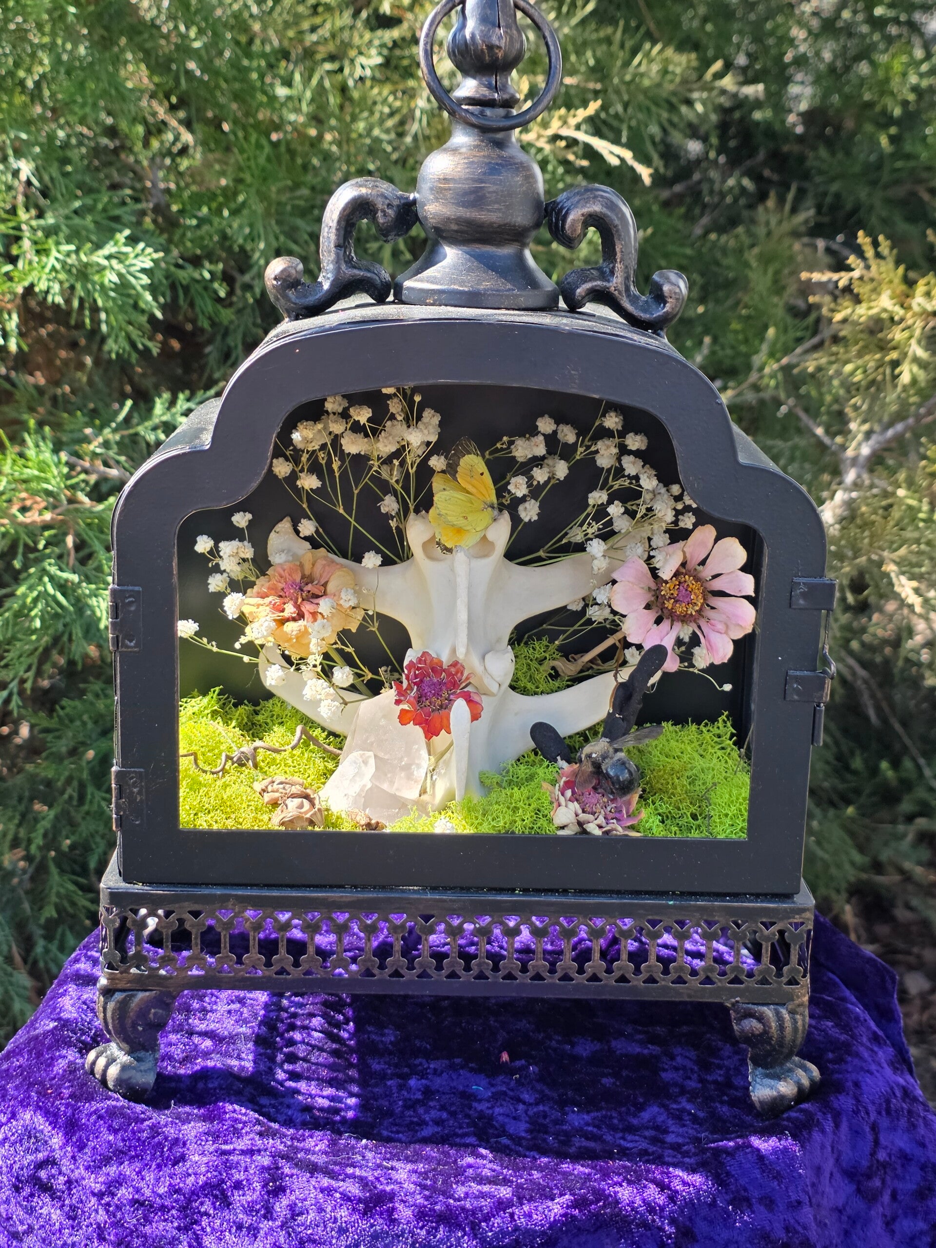 Pollinators